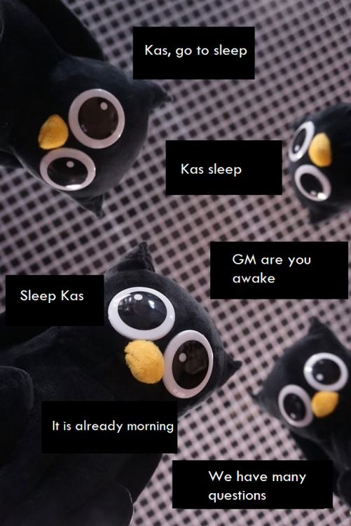 kassleep.thumb.png.369d54cae56138ddd437144d07c35942.png