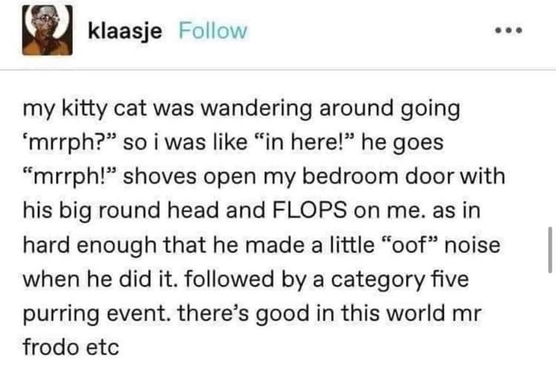 little-oof-noise-he-did-followed-by-category-five-purring-event-theres-good-this-world-mr-frodo-etc.jpeg.63a322a6e64437ff06d421c9c6ef3cfd.jpeg