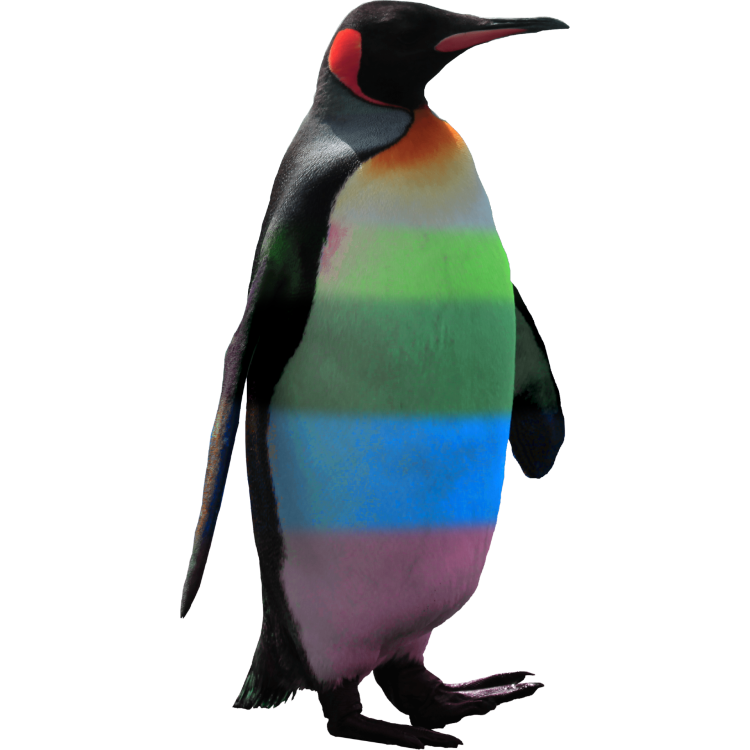 Penguin.thumb.png.233db86c3ea53645bb81950178e6c384.png