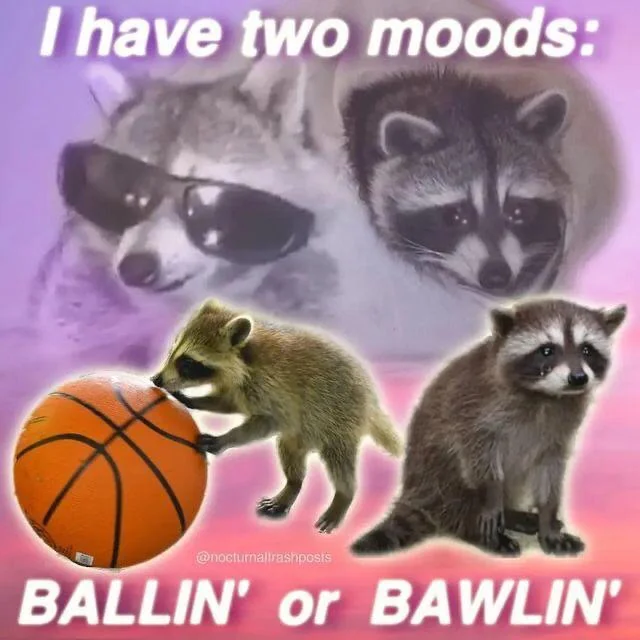 ballin-or-bawlin-v0-ns4tlx1xhjmb1.webp.decab68f9f0a4ee56ff579df5b87c98f.webp